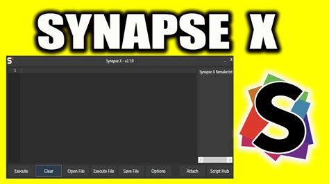 synapse x discord